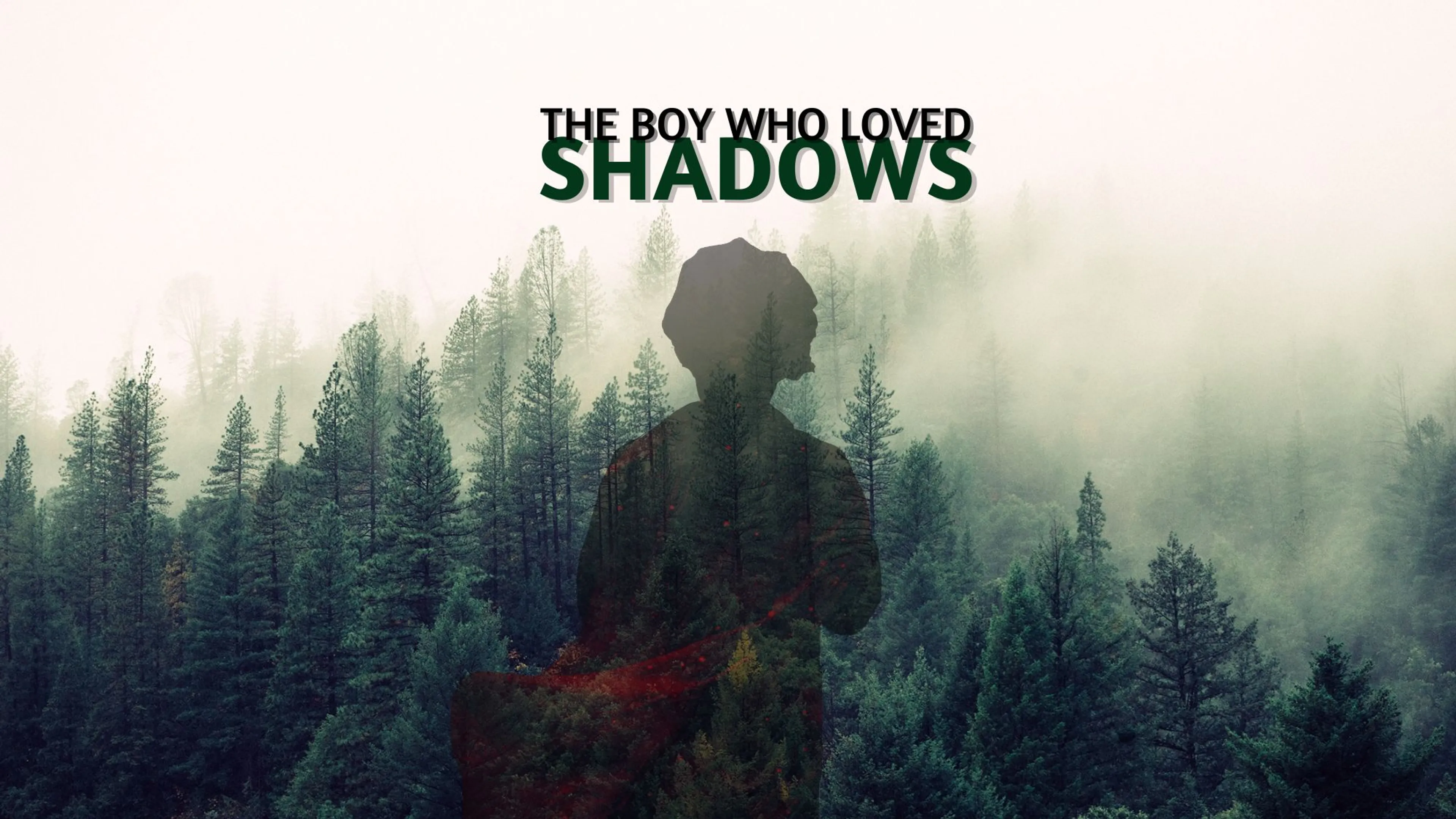 The Boy Who Loved Shadows poster